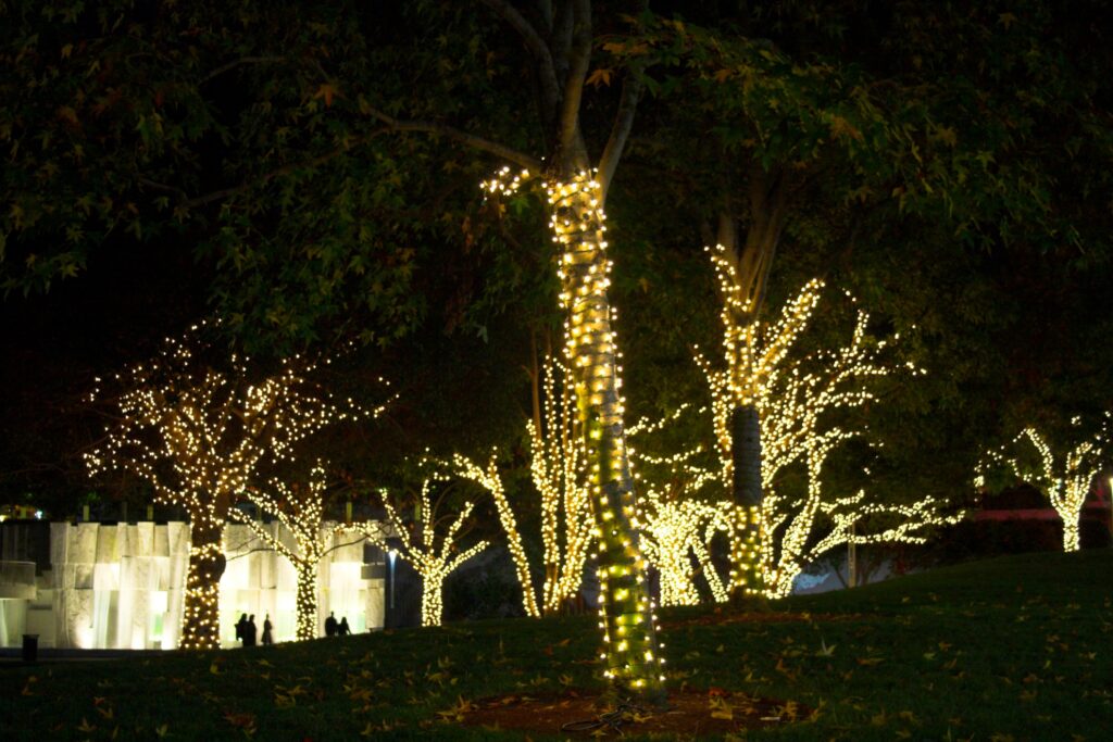 Glowing Yellow Christmas Lights And Trees