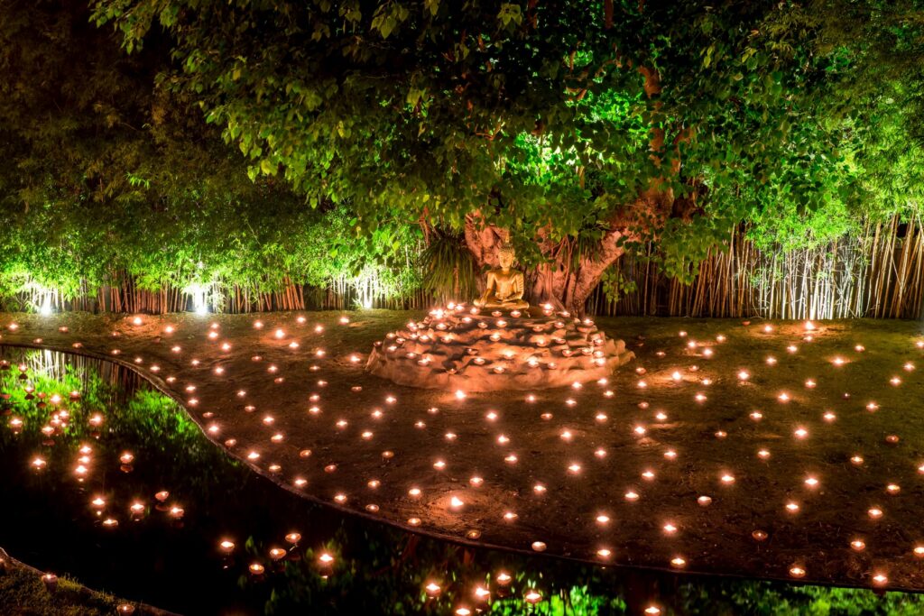 Glowing Christmas Lights And Trees