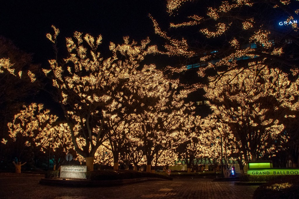 Glowing Yellow Christmas Lights And Trees