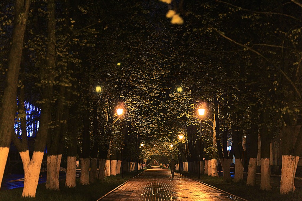 Glowing Christmas Lights On The Street