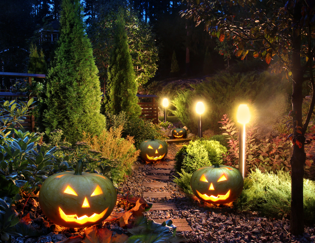 Helloween pumpkin path