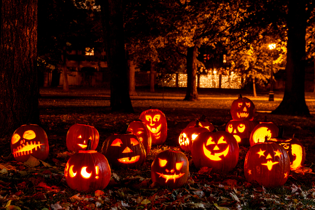 Haunted pumpkin puted outdoor area